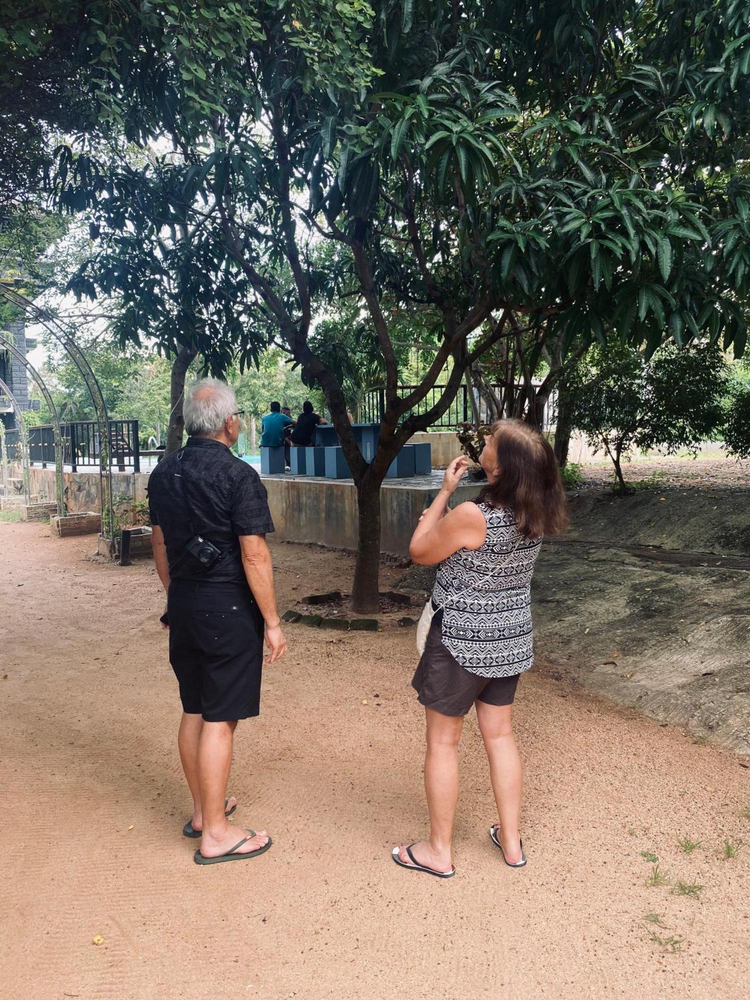 Sigiriya Kingdom Resort Dambulla Kültér fotó